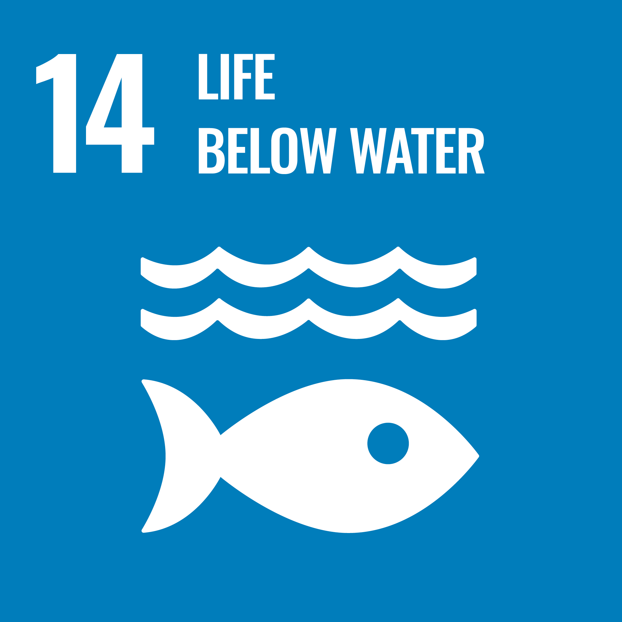 SDG Goals6