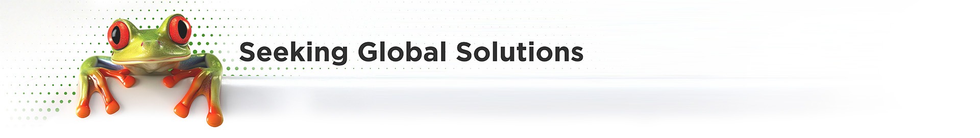 Seeking Global Solutions